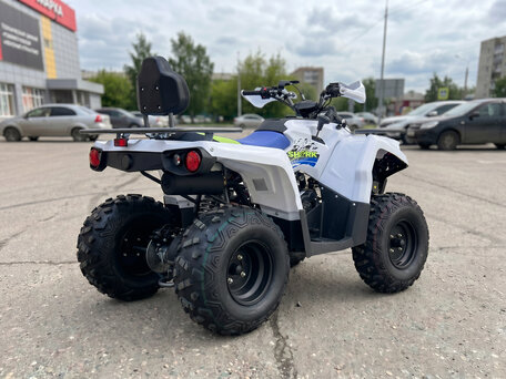 2021 Motoland ATV 200 Shark, белый, 191300 рублей, вид 4