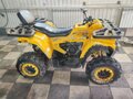 2024 Motoland Wild Track 200, жёлтый, 105000 рублей