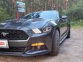2016 Ford Mustang VI, серый, 3000000 рублей - вид 11