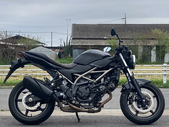 2024 Suzuki SV 650, чёрный, 677000 рублей - вид 1