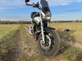 2005 Yamaha BT1100 Bulldog, чёрный, 500000 рублей - вид 1