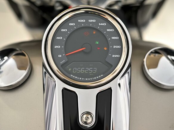 2018 Harley-Davidson Sport Glide, серый, 1199000 рублей - вид 9
