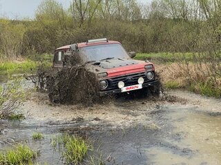 1995 Lada (ВАЗ) 2121 (4x4) I Рестайлинг, красный, 250000 рублей, вид 1