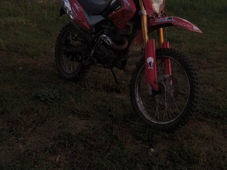 2015 Bars YQ250GY-18V, красный, 80000 рублей, вид 2