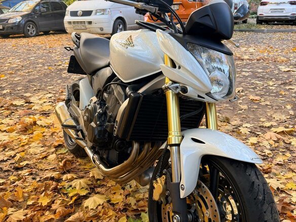 2008 Honda CB 600F Hornet, белый, 500000 рублей