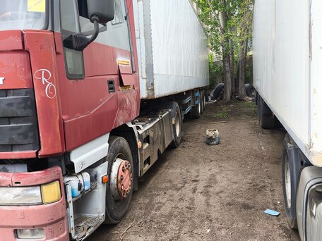 1996 Iveco EuroStar, красный, 700000 рублей, вид 2
