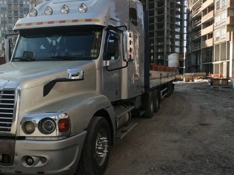 1999 Freightliner Century Class, серебристый, 4500000 рублей, вид 3