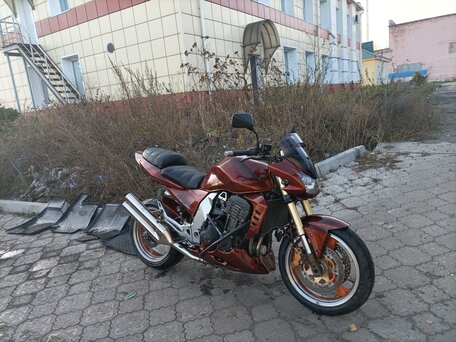 2004 Kawasaki Z 1000, коричневый, 475000 рублей, вид 1