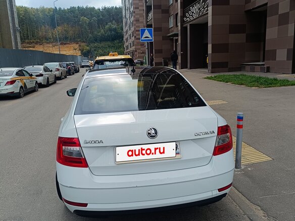 2017 Skoda Octavia III (A7) Рестайлинг, белый, 1850000 рублей - вид 7