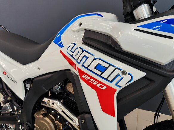 2026 Loncin DS250, белый, 258000 рублей - вид 6