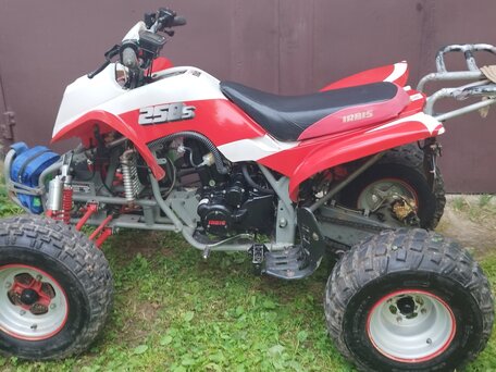 2014 Irbis ATV 250S, красный, 150000 рублей, вид 5