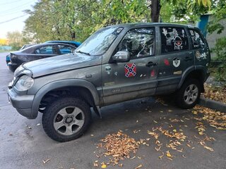 2004 Chevrolet Niva I, серый, 350000 рублей, вид 4