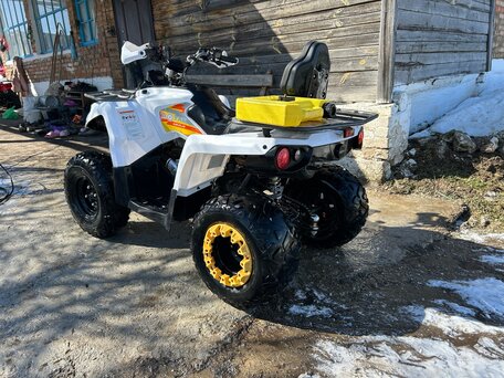 2023 Motax Grizlik 200, белый, 219000 рублей, вид 5