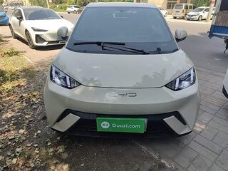 2024 BYD Seagull 30.08 kWh I, белый, 1120000 рублей, вид 2