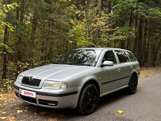 2002 Skoda Octavia I (A4) Рестайлинг, серый, 323000 рублей, вид 1