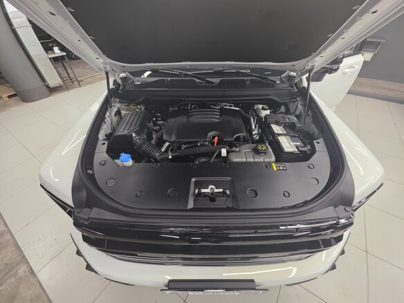 2024 Haval H9 II, белый, 4390000 рублей - вид 29