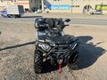 2025 Loncin XWolf 300 Max, серый, 360000 рублей - вид 9