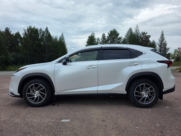 2021 Lexus NX 200 I Рестайлинг, белый, 4000000 рублей - вид 4