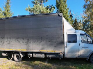 2010 ГАЗ ГАЗель (33023/330273) Фермер, белый, 1399000 рублей, вид 3