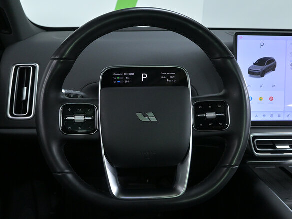 2024 Li Auto (Lixiang) L6 I, серый - вид 9
