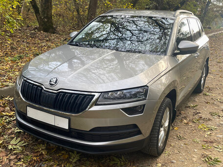 2020 Skoda Karoq I, коричневый, 1670000 рублей, вид 3