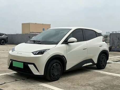 2024 BYD Seagull 30.08 kWh I, белый, 1160000 рублей, вид 5