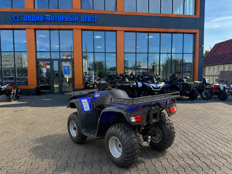 2026 Armada ATV 250, синий, 158200 рублей, вид 5
