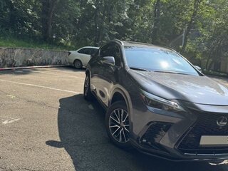 2022 Lexus NX 350h II, серый, 4800000 рублей, вид 4