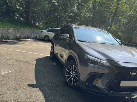2022 Lexus NX 350h II, серый, 4800000 рублей, вид 4