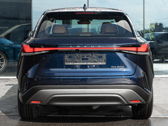2025 Lexus RX 300 V, синий, 8490000 рублей - вид 5