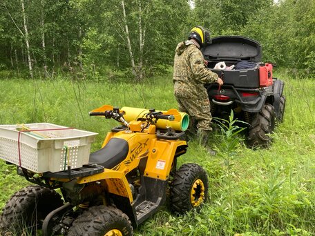 2021 Motoland Wild 125, жёлтый, 125000 рублей, вид 3