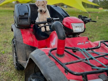 2008 Honda TRX 500 (Foreman), красный, 399999 рублей, вид 1