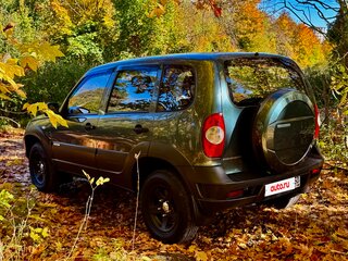 2015 Chevrolet Niva I Рестайлинг, серый, 565000 рублей, вид 4