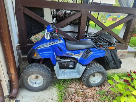 2008 Stels ATV-110, голубой, 70000 рублей, вид 2