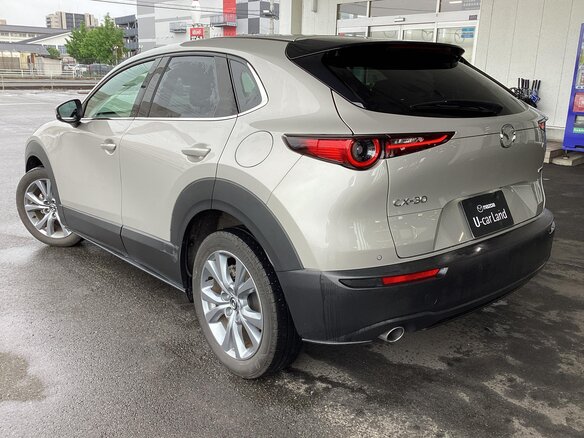 2023 Mazda CX-30 I, серый - вид 5