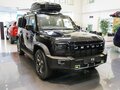 2026 Jetour T2, чёрный, 5100000 рублей - вид 5