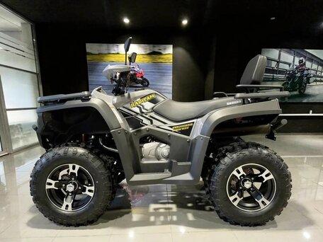 2026 Bashan Explorer 300, жёлтый, 317800 рублей, вид 3
