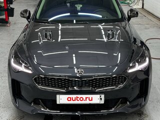 2021 Kia Stinger I Рестайлинг, серый, 4500000 рублей, вид 2