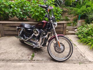2012 Harley-Davidson XL1200, пурпурный, 920000 рублей, вид 1