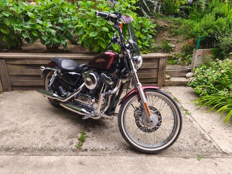 2012 Harley-Davidson XL1200, пурпурный, 920000 рублей, вид 1