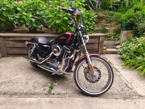 2012 Harley-Davidson XL1200, пурпурный, 920000 рублей