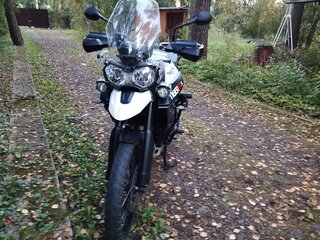2015 Triumph Tiger 800, белый, 768000 рублей, вид 4
