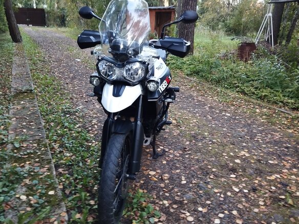 2015 Triumph Tiger 800, белый, 768000 рублей - вид 3