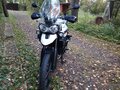2015 Triumph Tiger 800, белый, 768000 рублей - вид 3