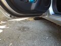 2011 Kia Carens II (UN), серебристый - вид 7