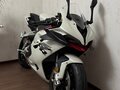 2025 QJMotor SRK 921 RR, белый, 921000 рублей - вид 3