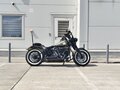 2015 Harley-Davidson Softail Slim, зелёный
