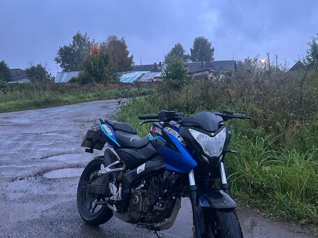 2016 Bajaj Pulsar NS 200, синий, 145000 рублей, вид 1