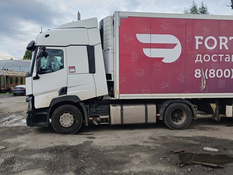 2020 Renault T-Series, белый, 5000000 рублей, вид 5