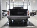 2025 Ford F-150 Raptor XIV Рестайлинг, серый - вид 6